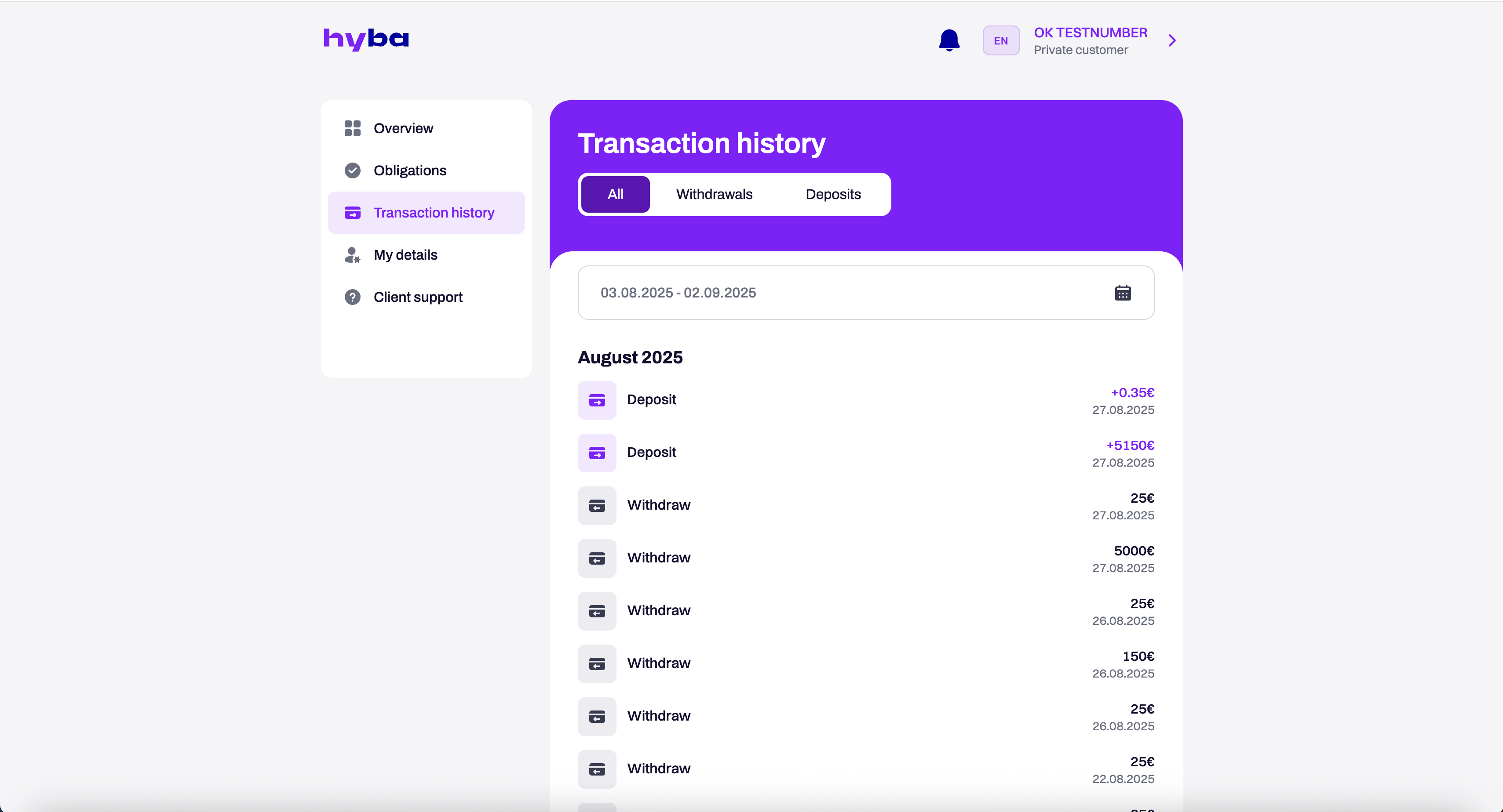 Hyba Web